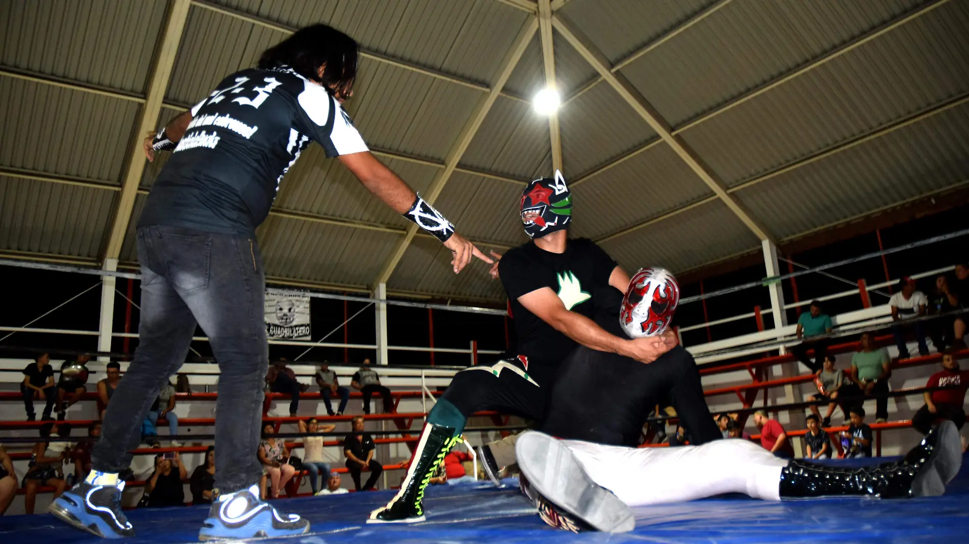 Lucha Libre-carlos Villalba (1)